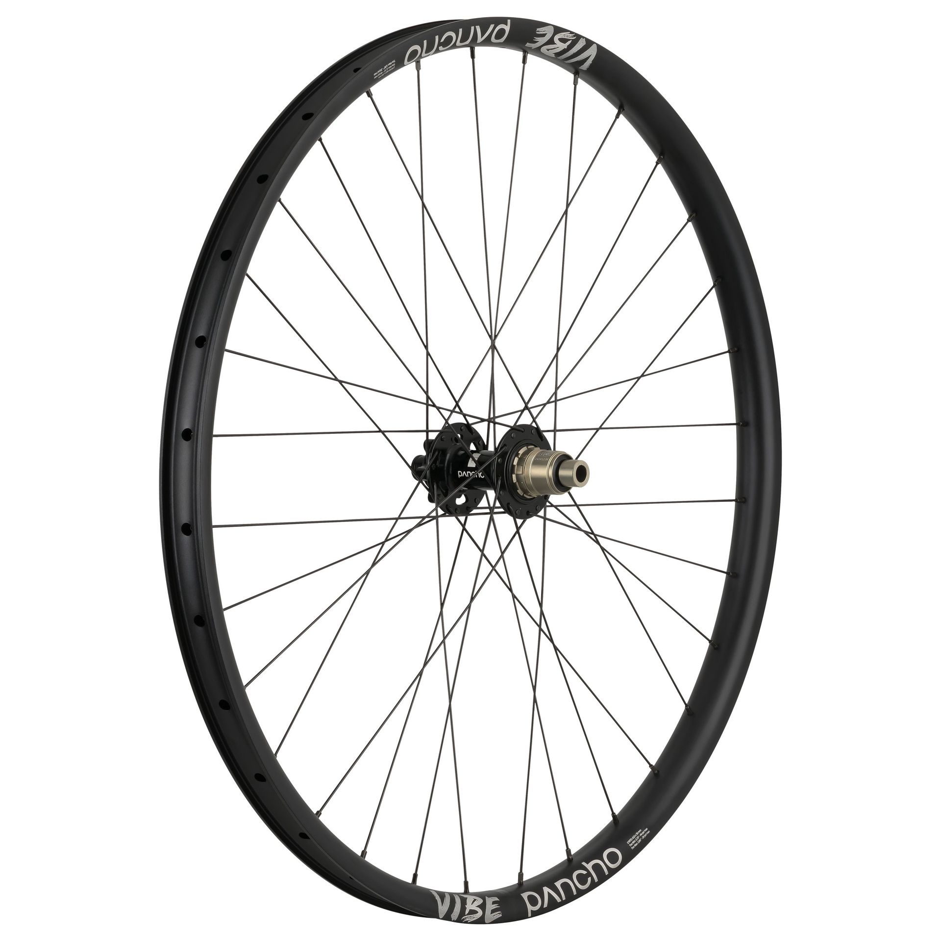 Panchowheels-Panchowheels Hinterrad Vibe 29" / DT Swiss 240 Centerlock, 148/12mm Boost, _PW253-HRCLXDBOOST_