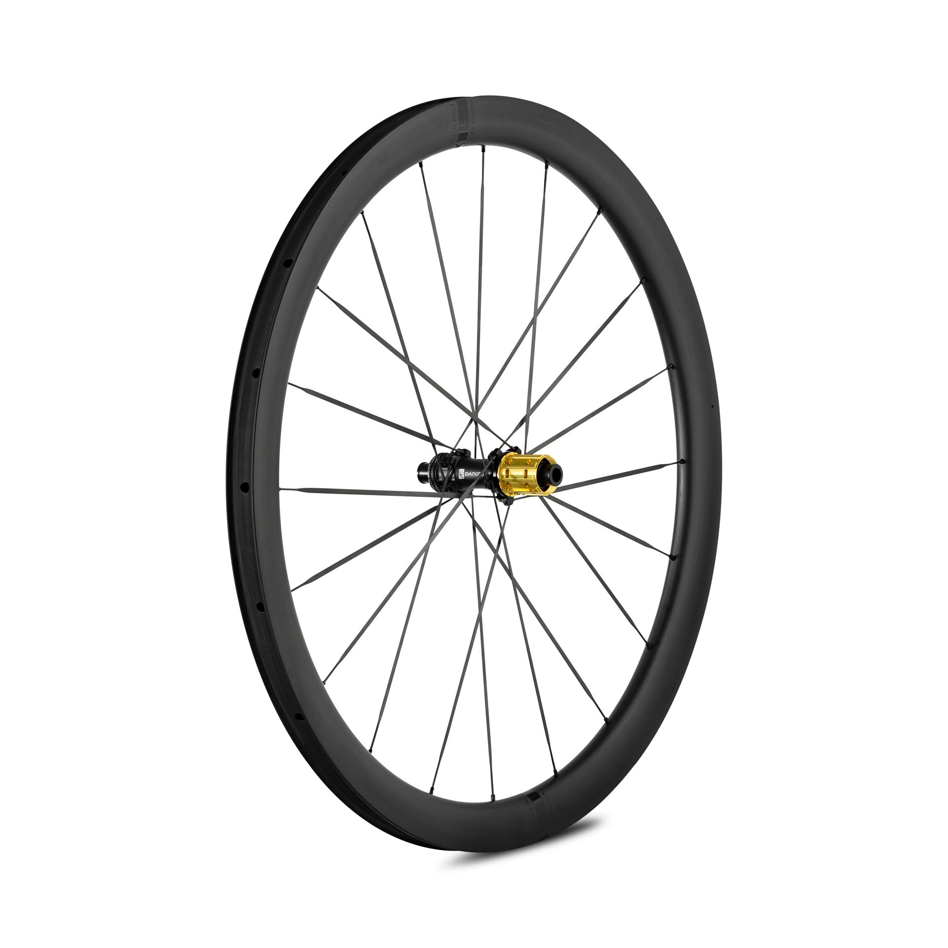 Panchowheels-Panchowheels Hinterrad AURA 42 SL / Pancho Pride Centerlock, 142/12mm, _PW423-HRCL14212_