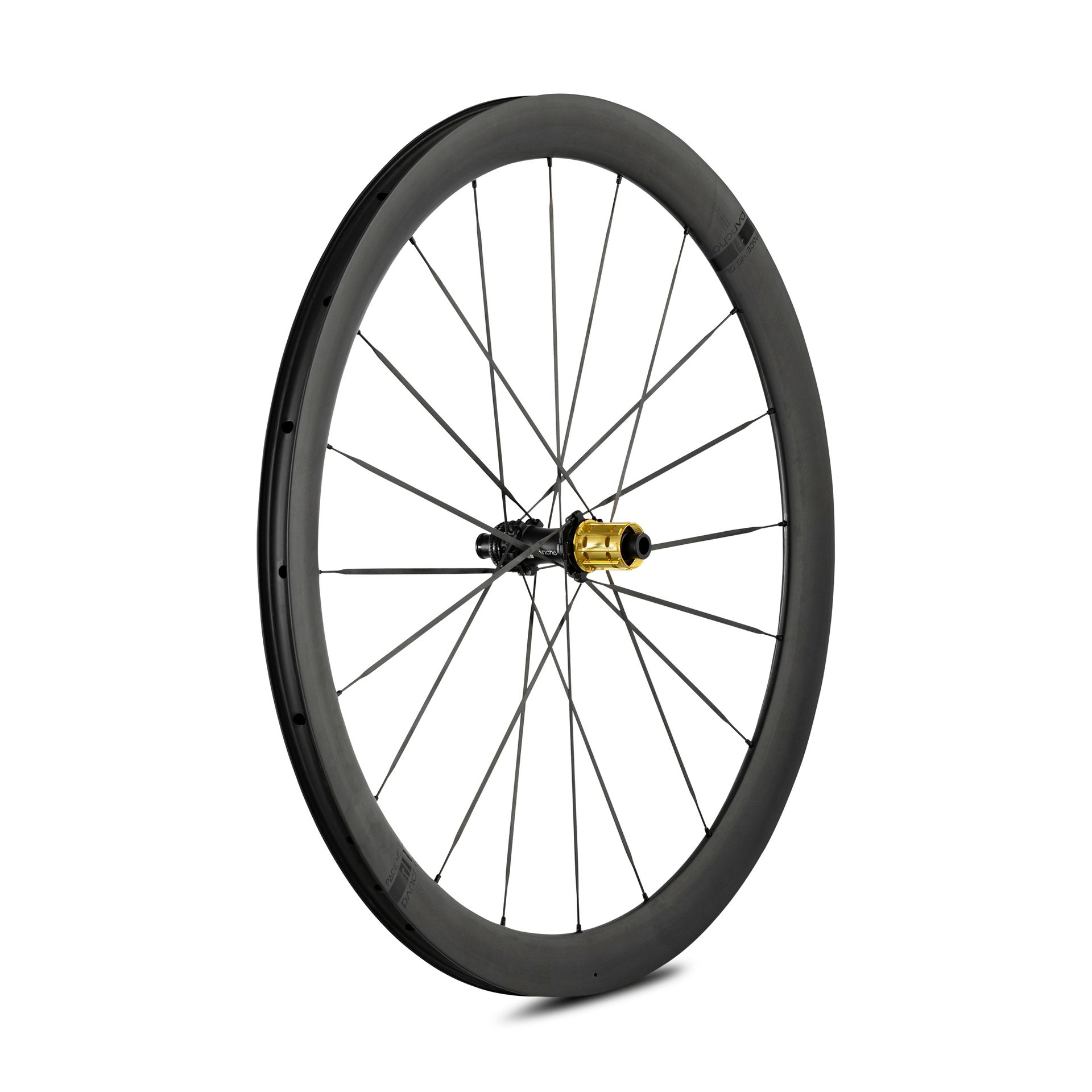Panchowheels-Panchowheels Hinterrad PACE 45 SL / Pancho Pride Centerlock, 142/12mm, _PW421-HRCLXDR14212_