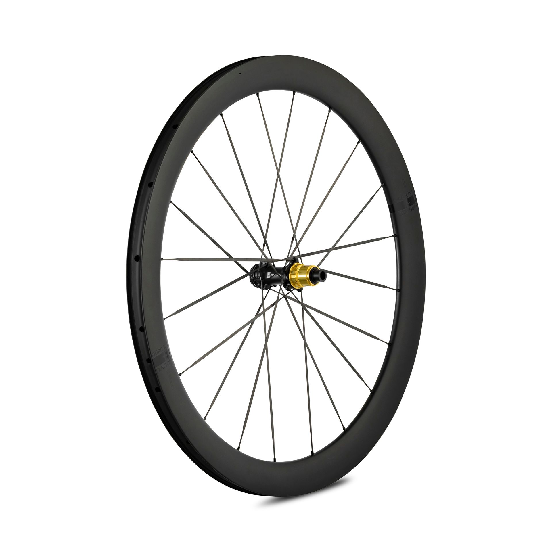 Panchowheels-Panchowheels Hinterrad AURA 50 SL / Pancho Pride Centerlock, 142/12mm, _PW424-HRCL14212_