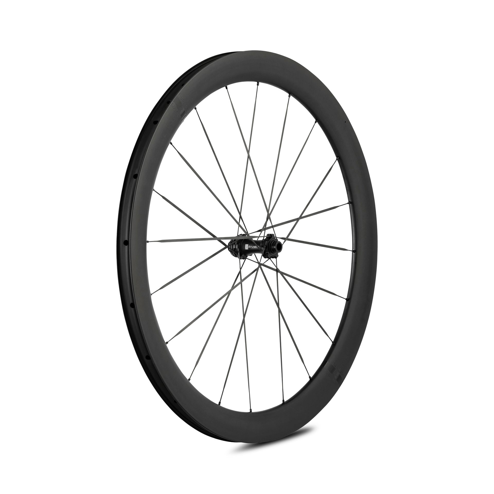 Panchowheels-Panchowheels Vorderrad AURA 50 SL / Pancho Pride Centerlock, 100/12mm _PW424-VRCL12_