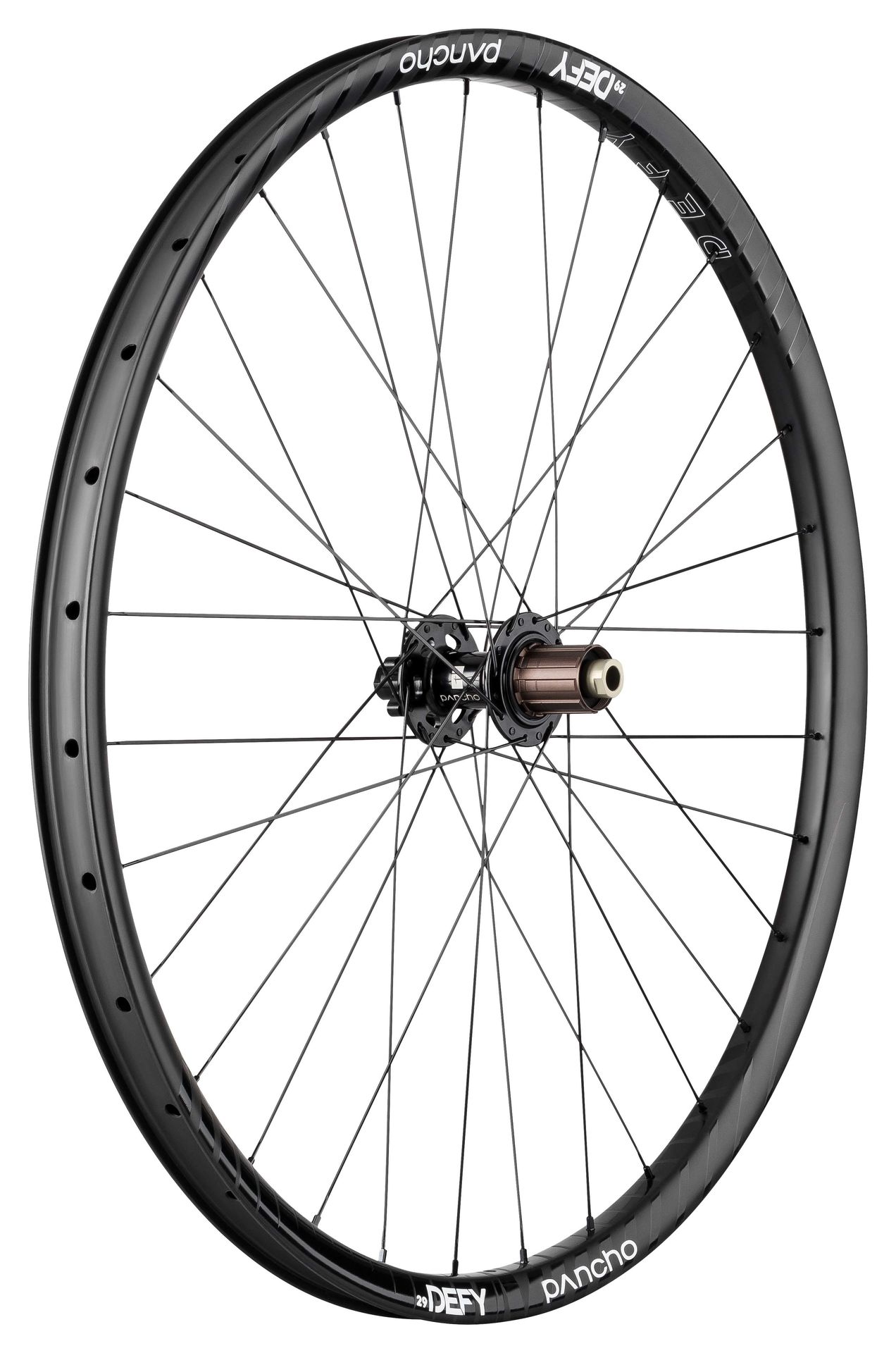 Panchowheels-Panchowheels Hinterrad Defy 29" / DT Swiss 240 6 Loch, 148/12mm Boost, _PW208-HR6LMSBOOST_