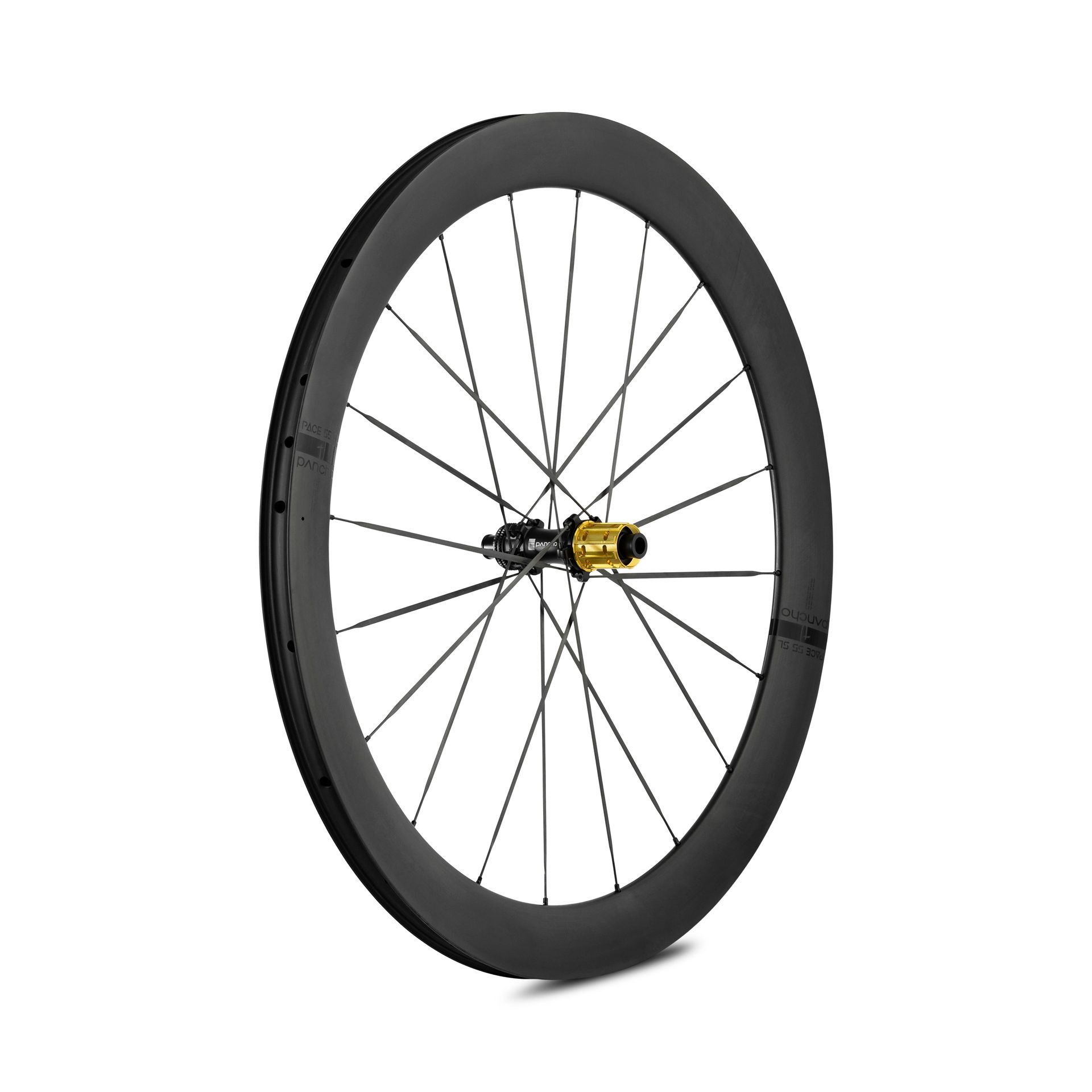 Panchowheels-Panchowheels Hinterrad PACE 55 SL / Pancho Pride Centerlock, 142/12mm, _PW422-HRCL14212_
